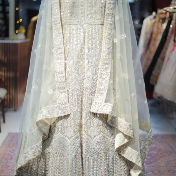 Ivory & Silver Embellished Indo-Western Gown